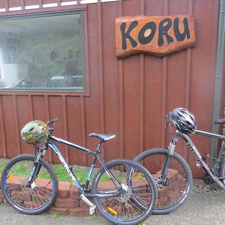 Koru Beachfront Holiday Cabins & Hot Tub Barrytown Экстерьер фото